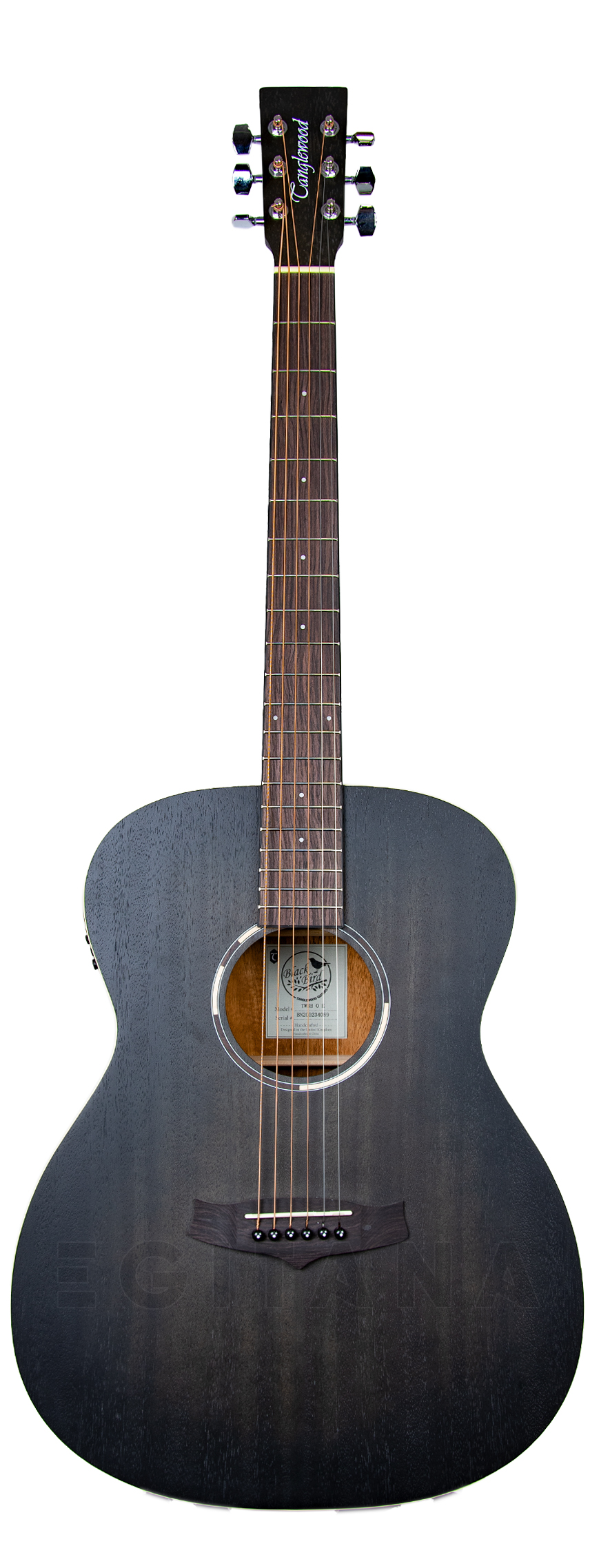tanglewood-twbb-oe_60941ddc07e43.jpg