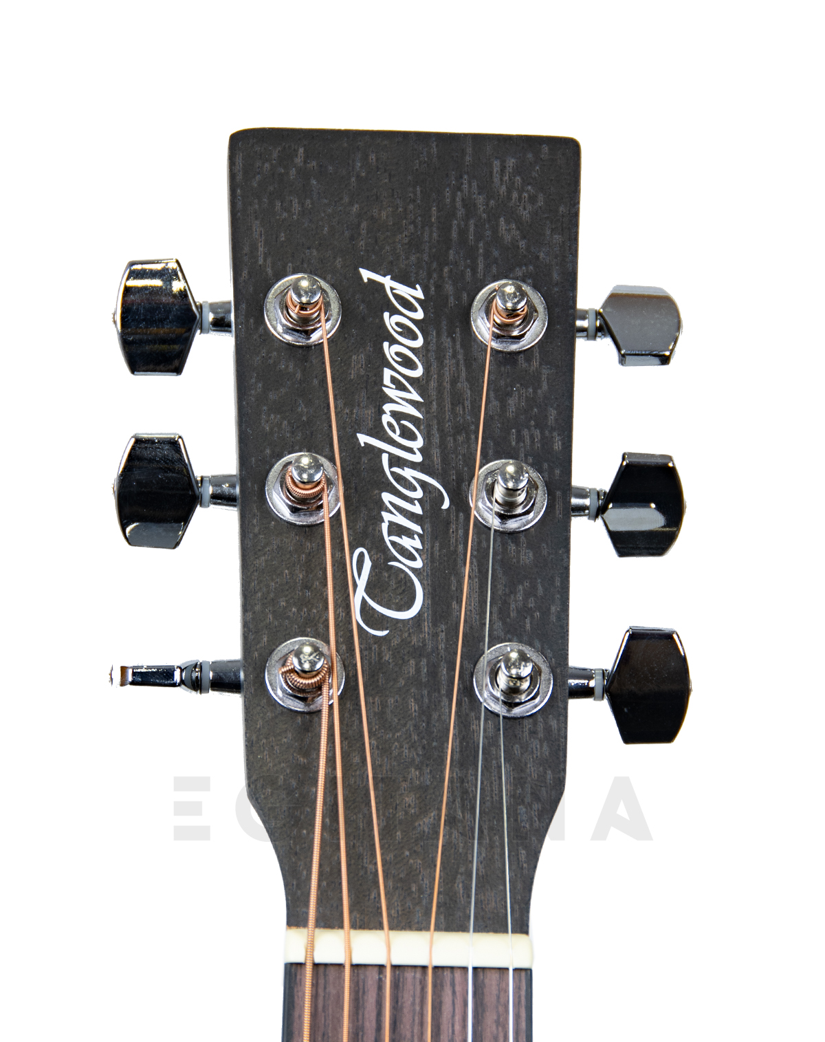 tanglewood-twbb-oetanglewood-twbb-oe_60941dddbf809.jpg