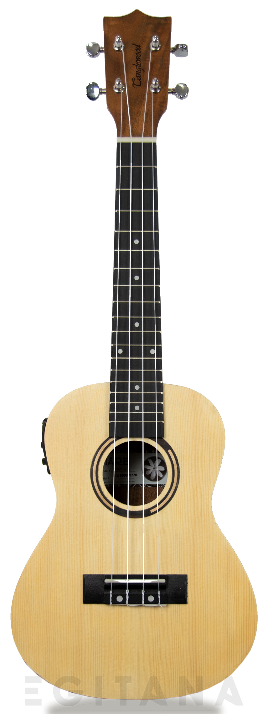 tanglewood-twt-9-e_605e27cdb41ea.jpg