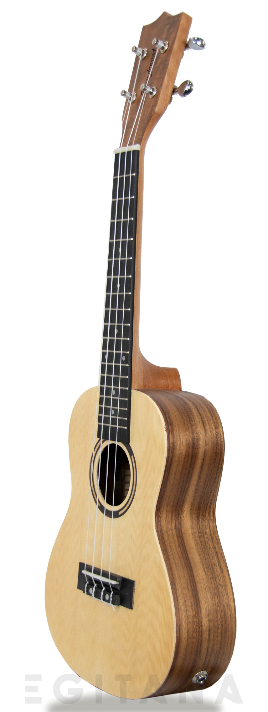 tanglewood-twt-9-e_605e27cf7072d.jpg
