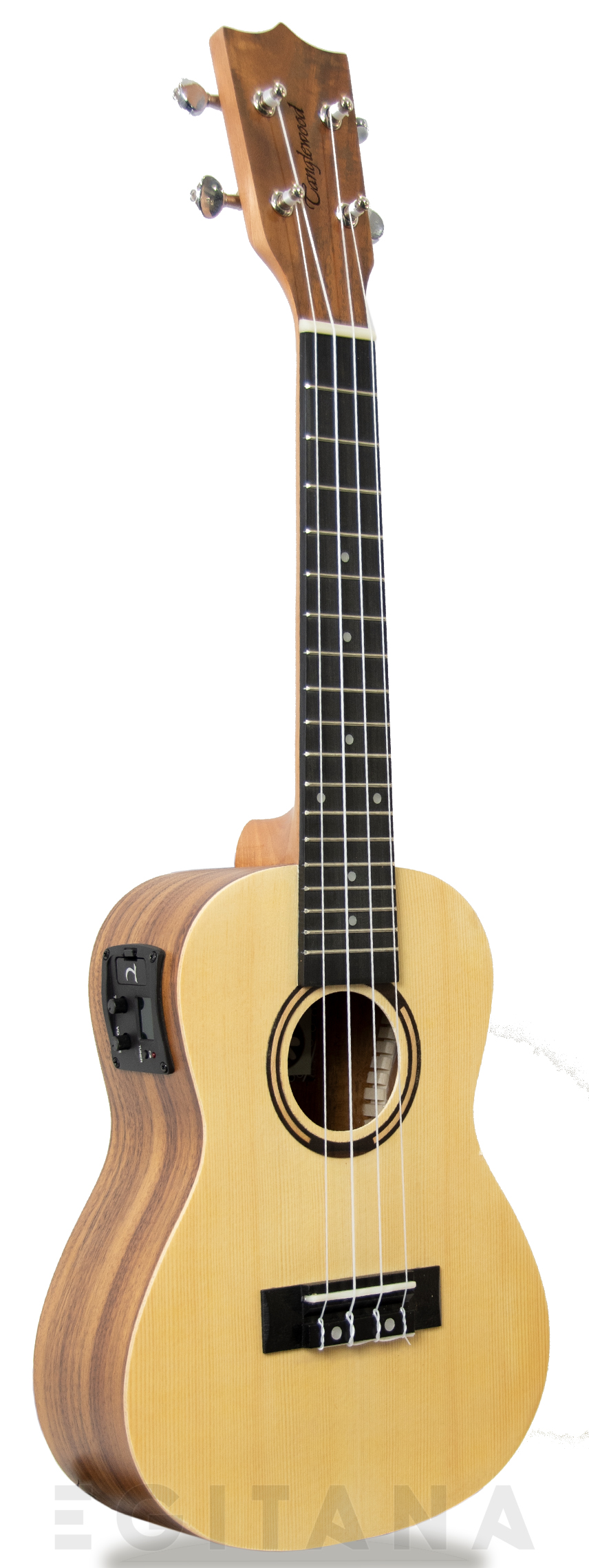 tanglewood-twt-9-e_605e27d04d21e.jpg