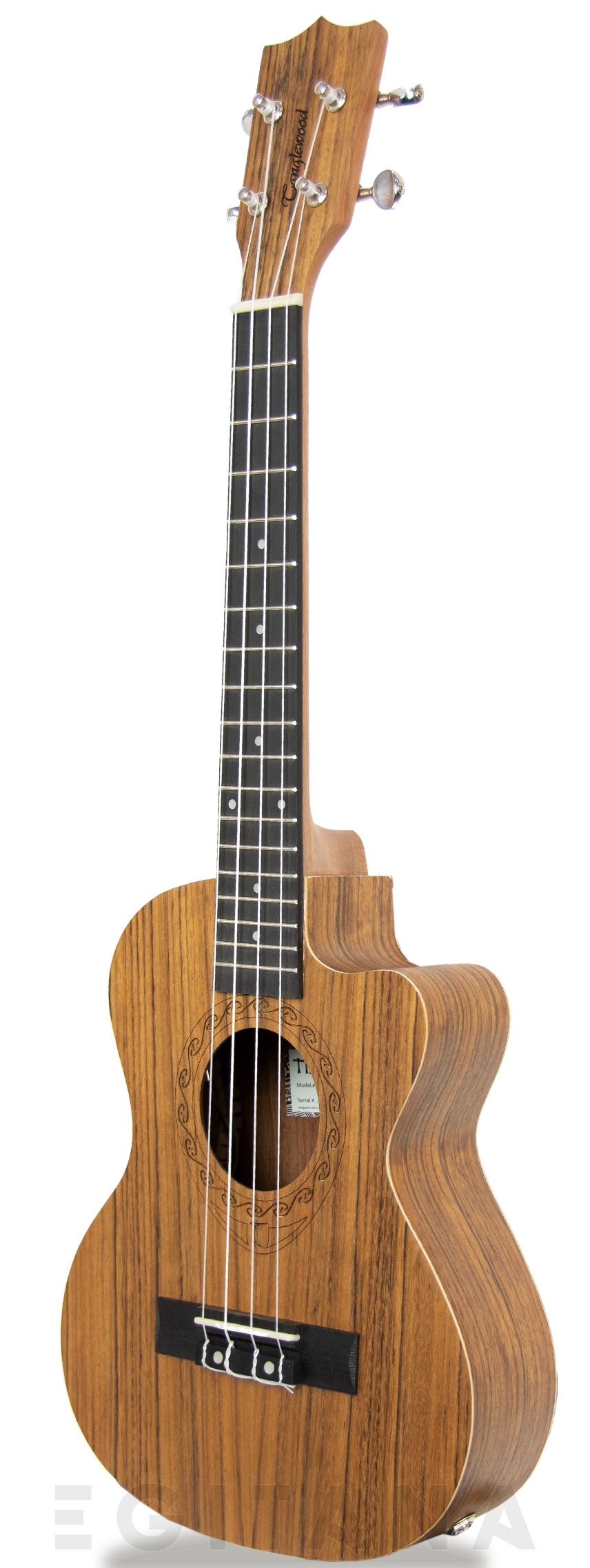 tanglewood-twt14e_605dcd65b324f.jpg