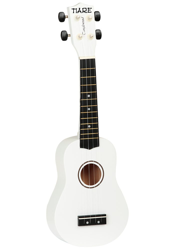 tanglewood-twtsp-wr_5eb95a6b008a8.jpg