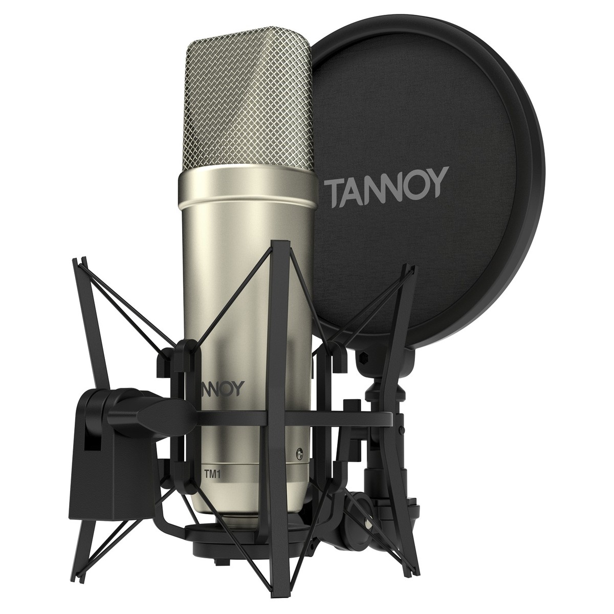 tannoy-tm1-completevocalrecording_5be950407f358.jpg