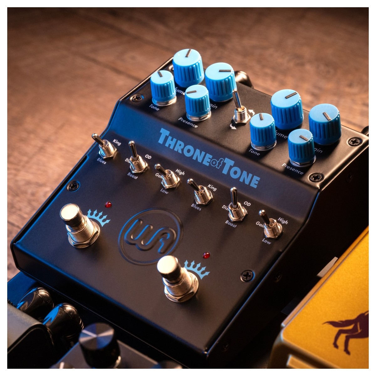 warm-audio-throne-of-tone-dist-boost-od_68fa38690cd2a.jpg