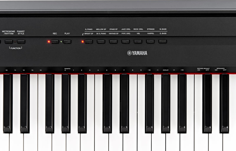 yamaha-p-115_563dd5a0dce2a.jpg