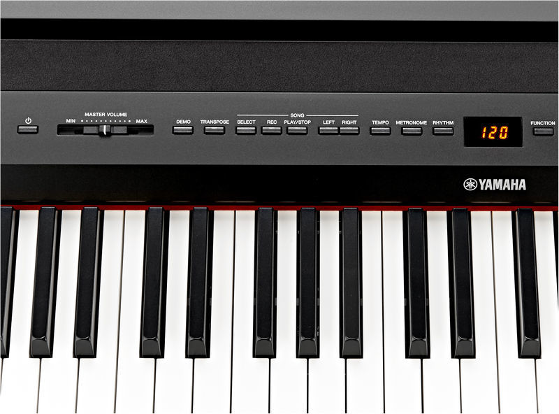 yamaha-p-255_563dda6795bf9.jpg