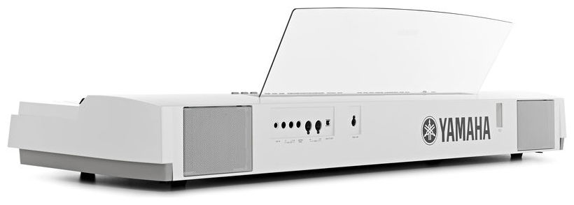 yamaha-p-255b_563ddc843110c.jpg