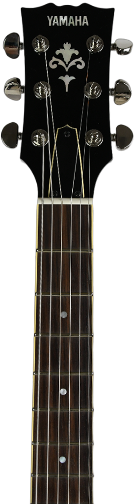 yamaha-sg-1802-gold-top_64a590846cff2.png