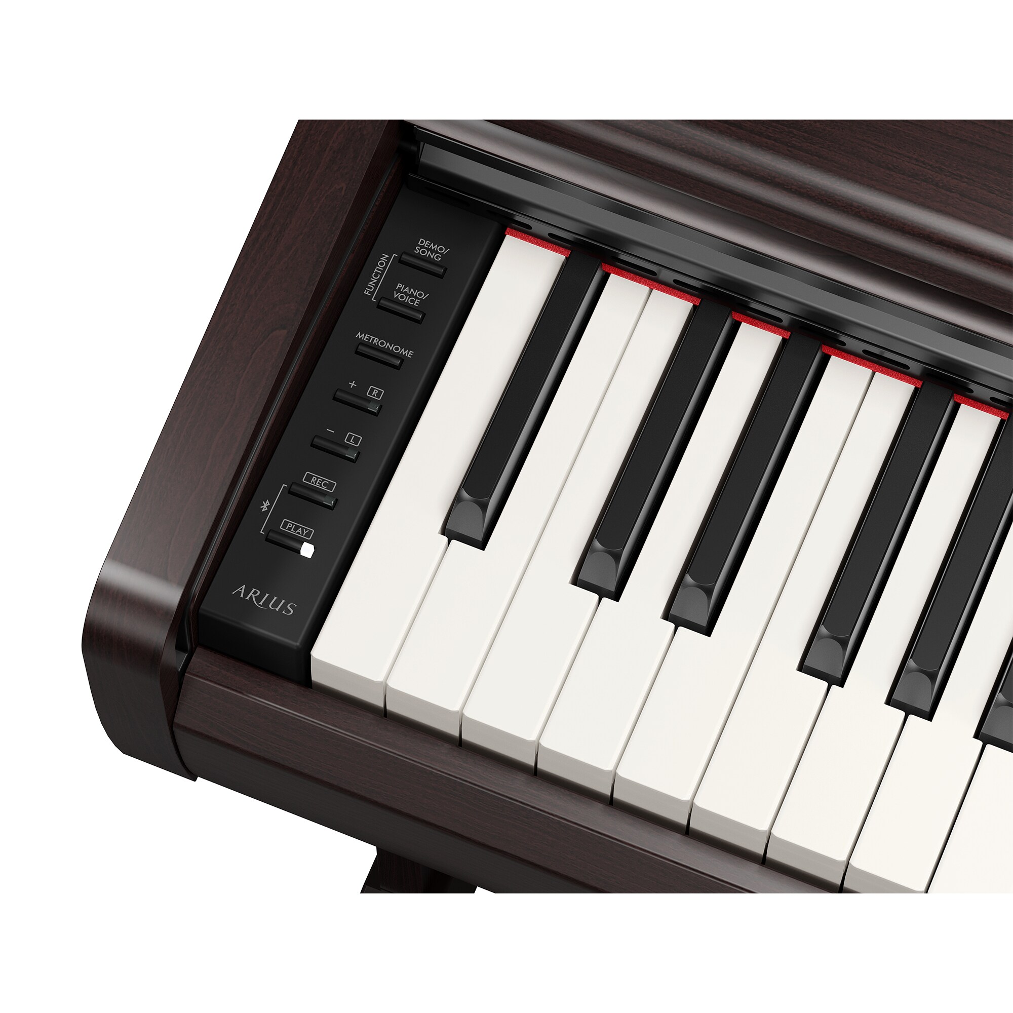 yamaha-ydp-146-r-arius_6a32a4fe1833e.jpg